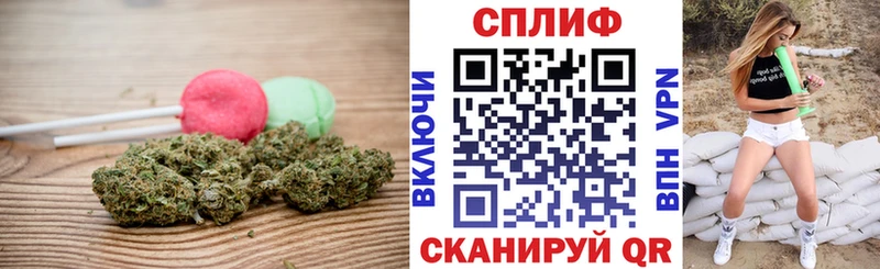 Cannafood конопля hydra маркетплейс Славгород