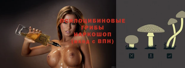 эйфоретик Балахна