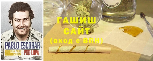 прущие грибы Аркадак